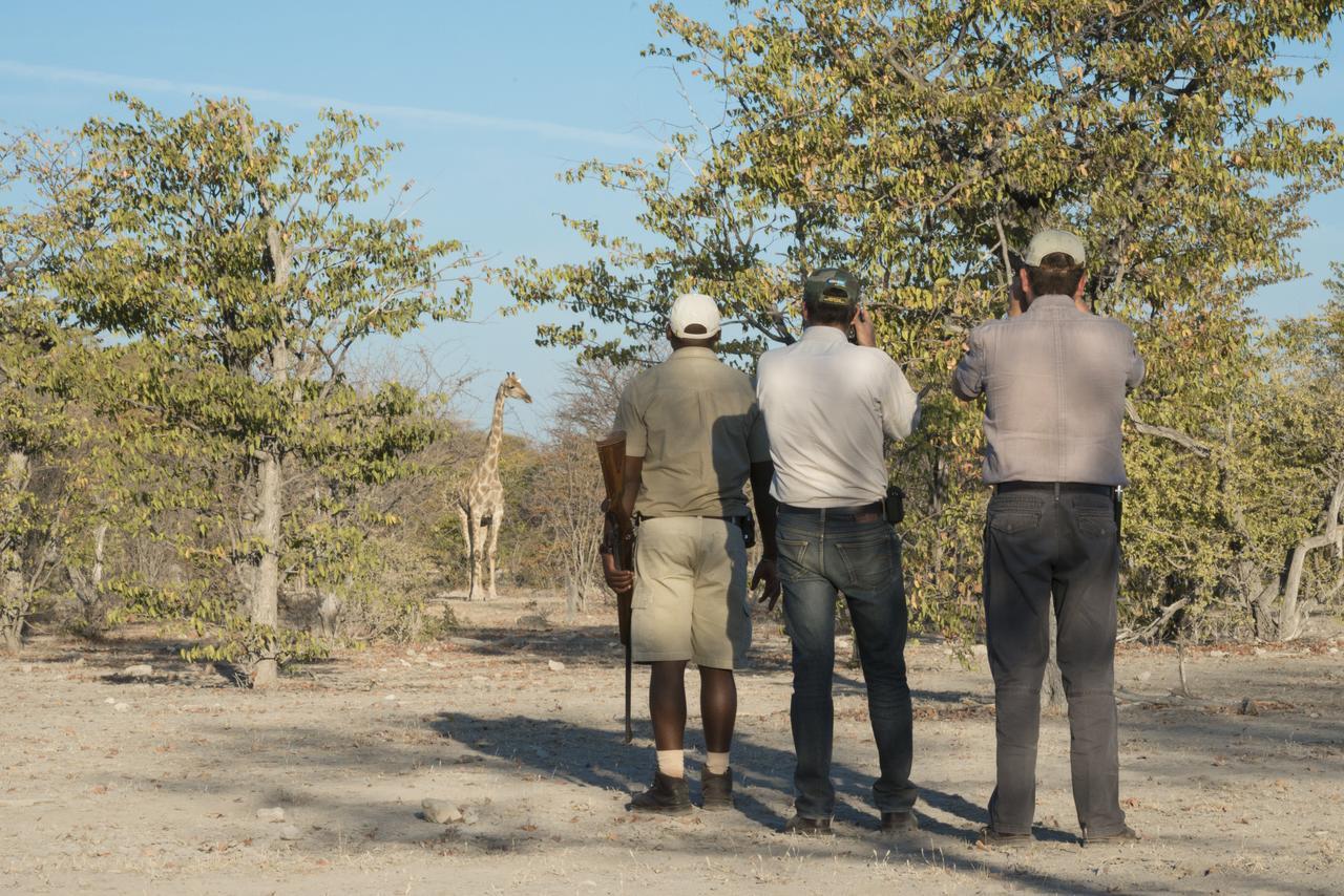 Ongava Lodge Okaukuejo Zewnętrze zdjęcie